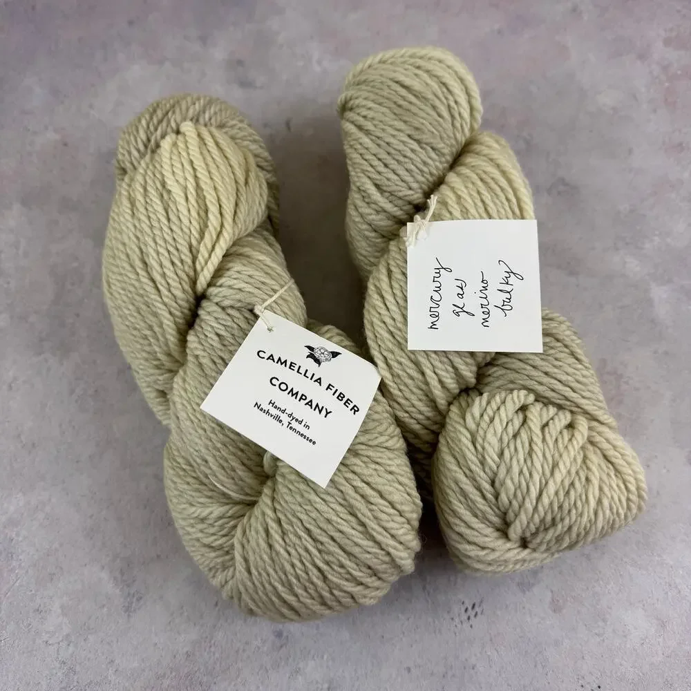 Camellia Fiber Co. Handmade Yarn Wool Bulky Wt Handspun Nashville Mercury Glass